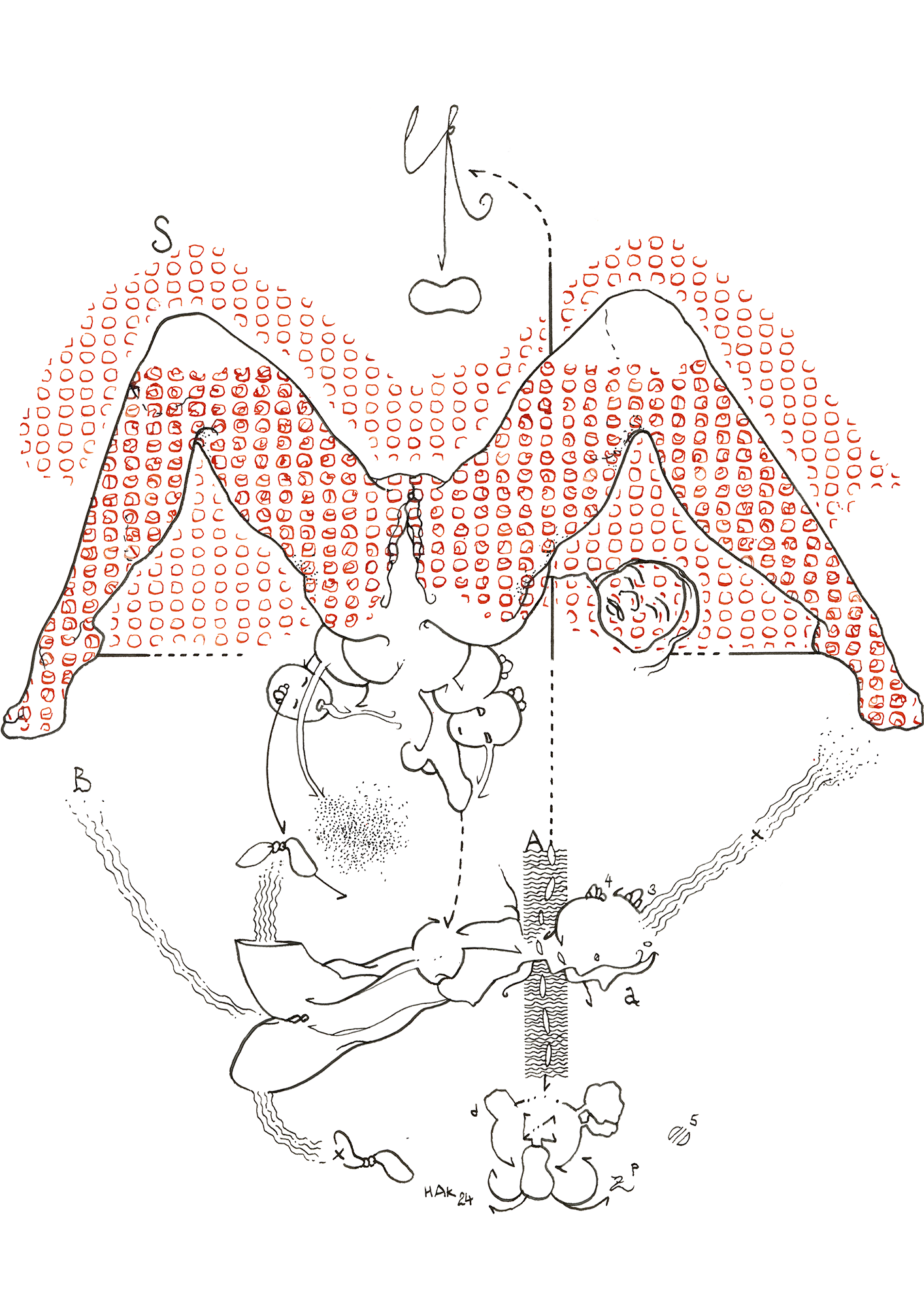 Hannes Kater –Tageszeichnung (Zeichnung/drawing) vom 17.09.2024 (1414 x 2000 Pixel)