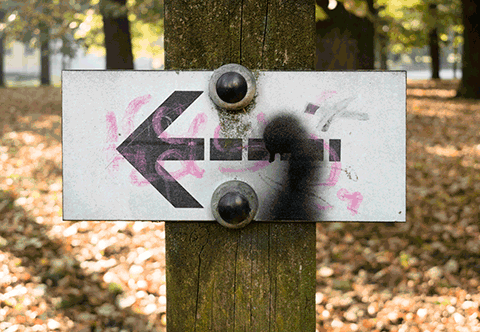 LP 2207 - Lieblingspfeil Nr. 2207 von Hannes Kater