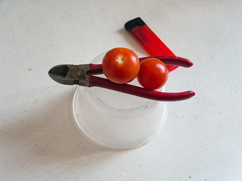 Onkel Zange mit Tomaten - Foto: Hannes Kater